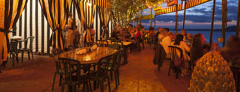 Outdoor Patio dining at the Dead Fish